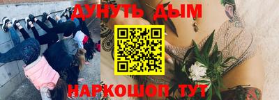 соль ск Бийск